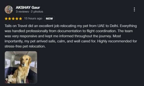 Untitled design - 2026-01-22T135115.797