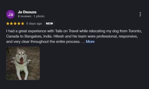 Untitled design - 2026-01-22T135247.282