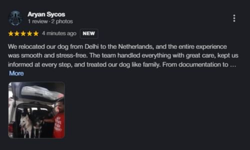 Untitled design - 2026-01-22T141540.395